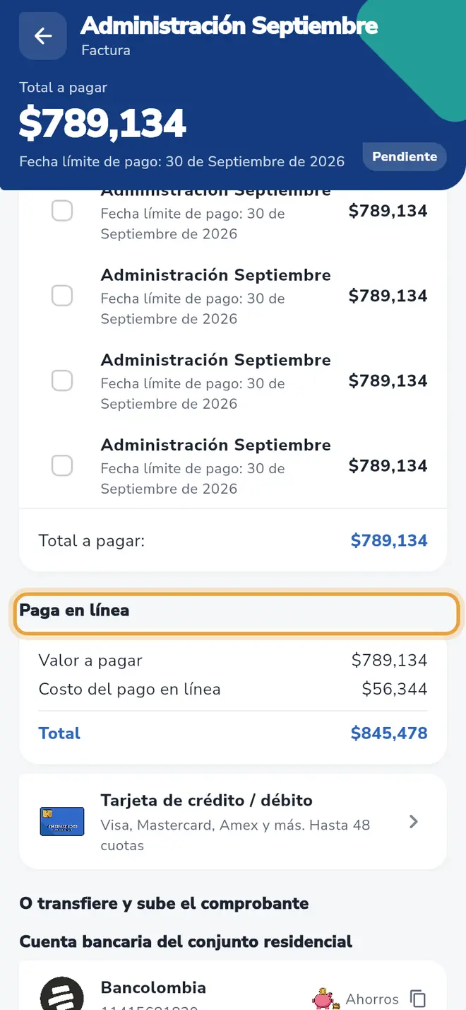 Detalle de la factura: la sección Paga en línea está señalada