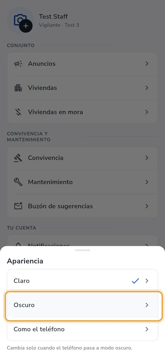 Hoja Apariencia: la opción Oscuro está señalada